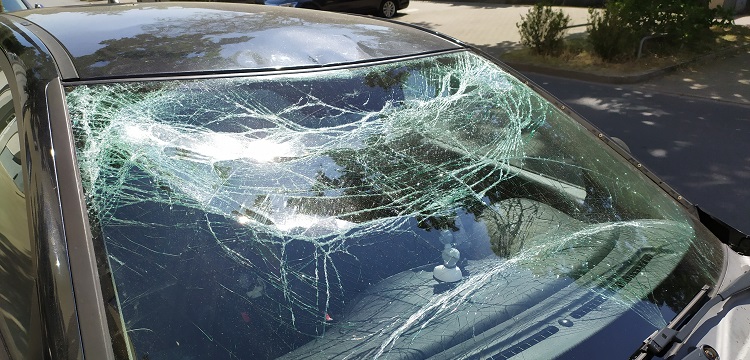 海洋環境監測：赤潮應急監測與專題監測