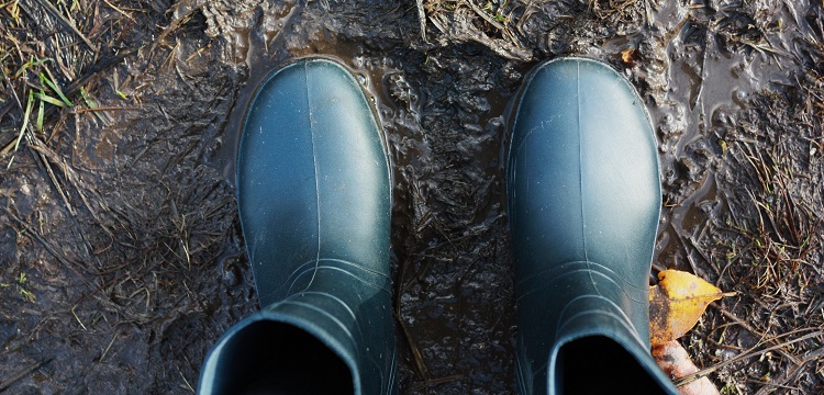 土地測繪中的現代測繪技術運用