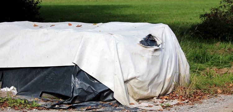 OVA誘導大鼠哮喘模型