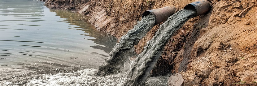 魚類急性毒性試驗